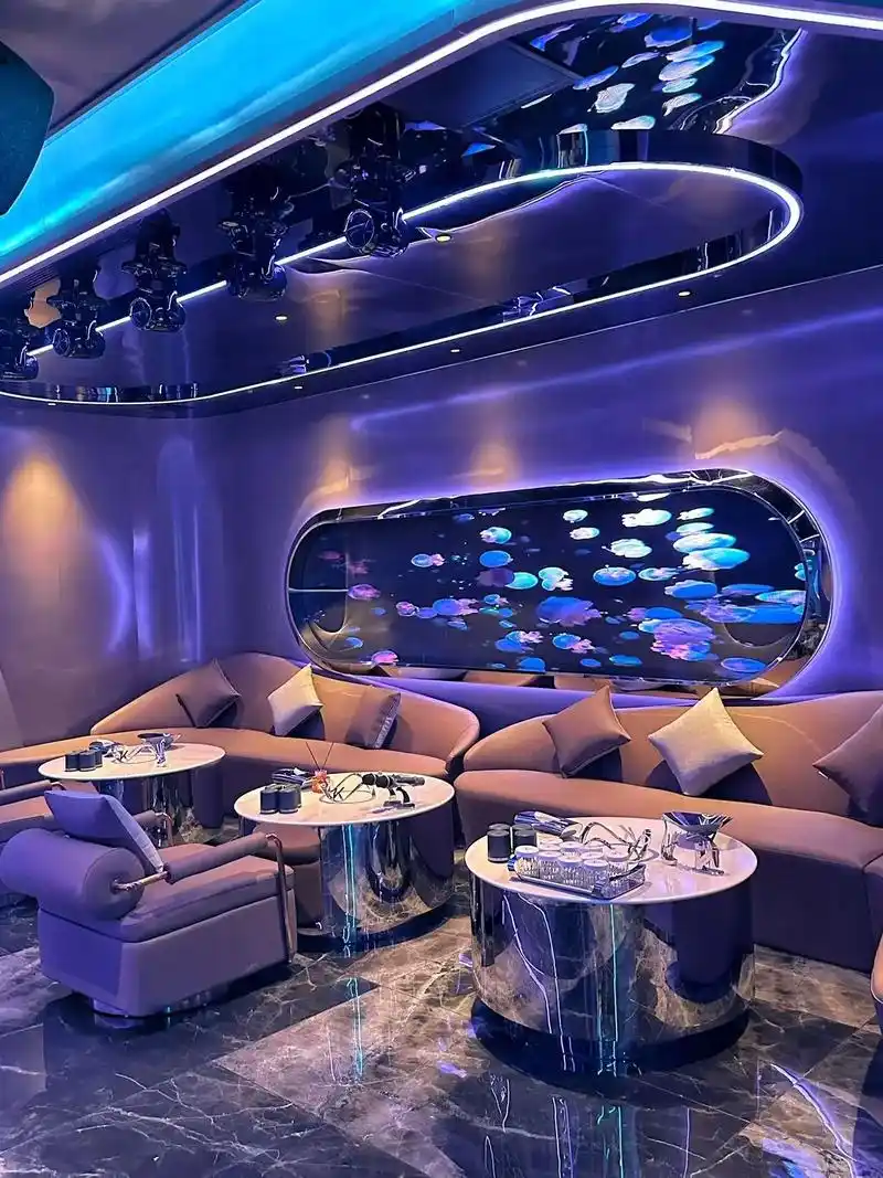 嘉兴商务ktv中低端区别解析-桐乡市ktv预定